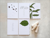 10 Handmade Any Occasion Set of Cards