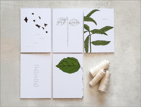 10 Handmade Any Occasion Set of Cards