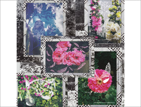 5 Postcards