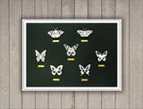 Handmade Seven Paper Butterfly Cutouts (Limited Edition)