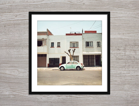 Beetle