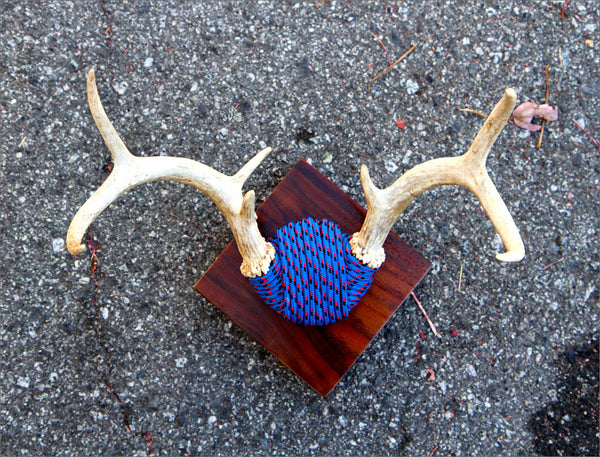 Blue Rope