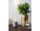 Bulb Lamp