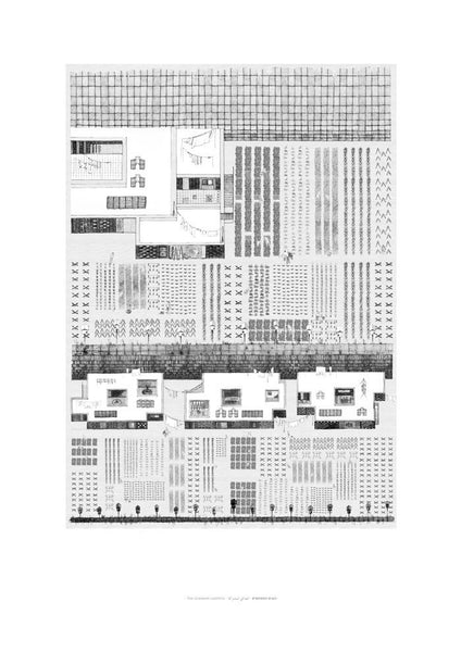 Common Gardens Eyal Landman drawing print