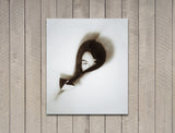 photography conceptioned chris sallquist