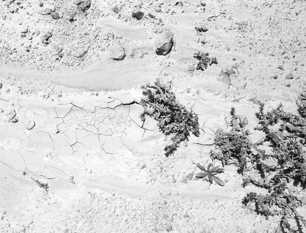Dead Sea I