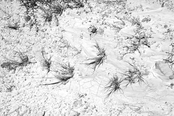 Dead Sea III