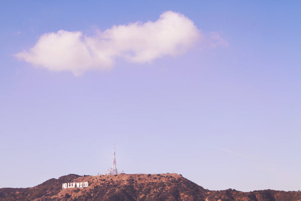 "Hollydamn"