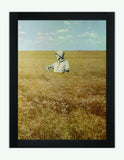 In the Flat Field, 2010