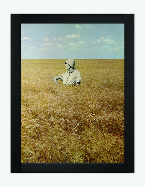 In the Flat Field, 2010