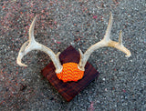Orange Rope