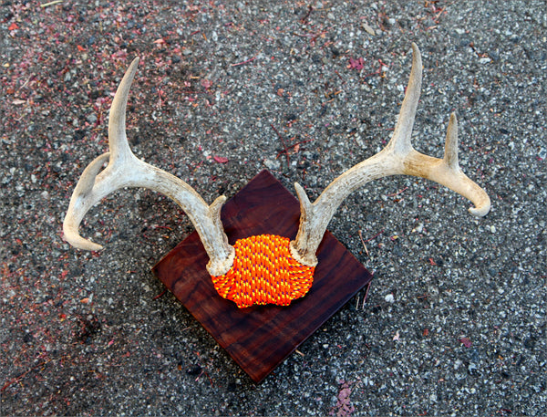 Orange Rope