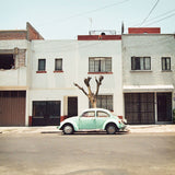 Beetle