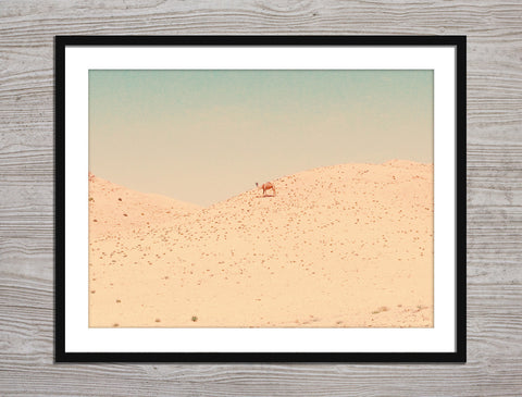 Camel