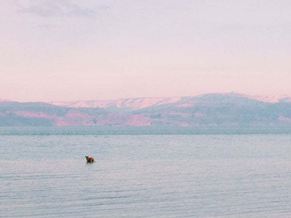 Dead Sea