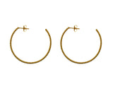Disco Hoops (Gold Vermeil)