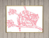 Pink Raccoon Screen Print