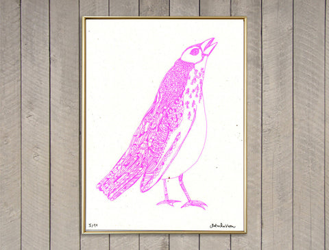 "Flash Pink Bird' Screen Print